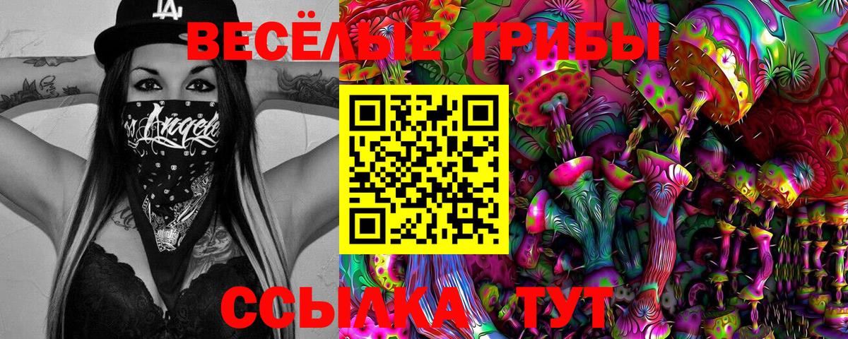 Еманжелинск  хочу   Вход с VPN  Псилоцибиновые грибы ЛСД 