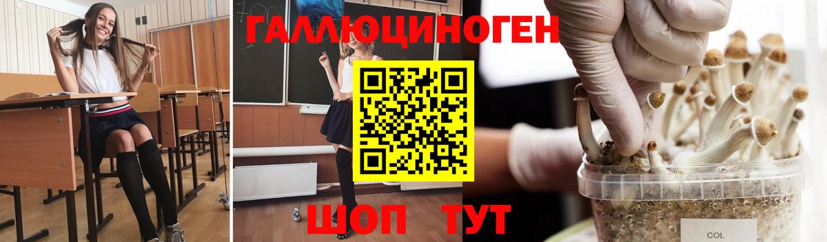 Галлюциногенные грибы GOLDEN TEACHER Еманжелинск